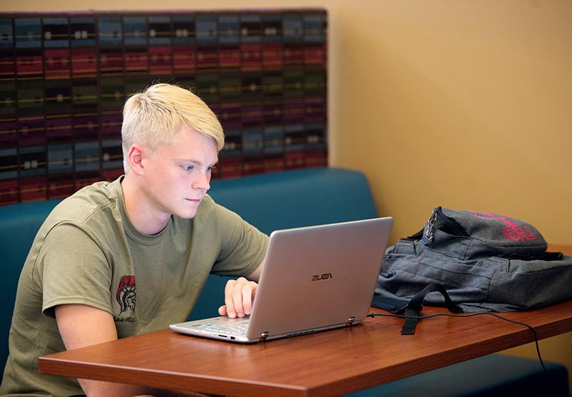 A student sitting at a laptop
